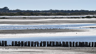 A perte de vue, sur la route de Beauduc