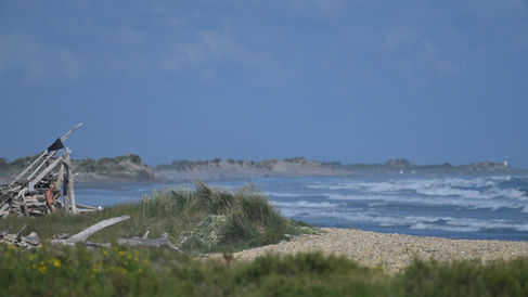 La mer et les dunes, digue à la mer côté Saintes-Maries-dela-Mer