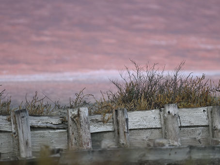 Couleurs du sel et du ciel - La vie en rose, matin, midi et soir