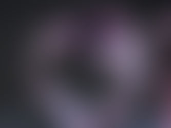 Prise de bec flamants roses