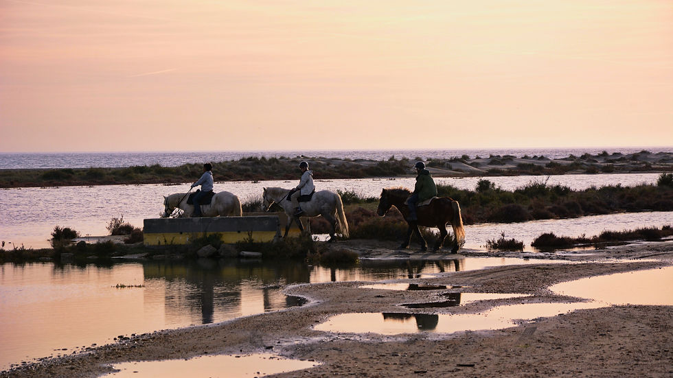 Promenade à cheval, dune et chenal recouverts par la mer aujourd'hui, Les Saintes-Maries-de-la-Mer