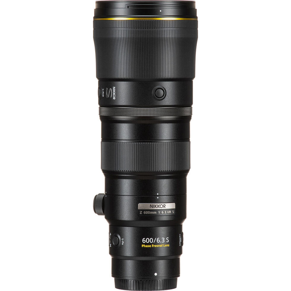 Nikon NIKKOR Z 600mm f/6.3 VR S Super-Telephoto Prime Lens