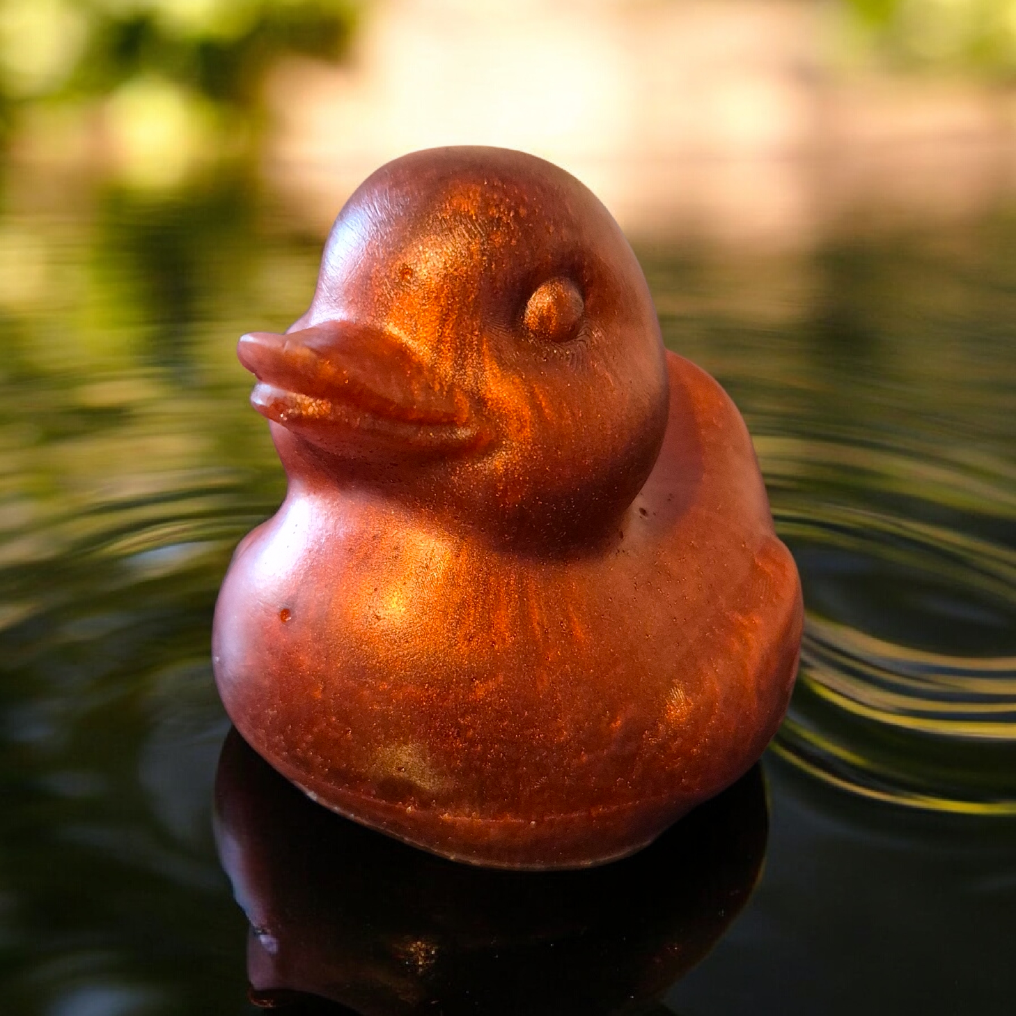 Ducks