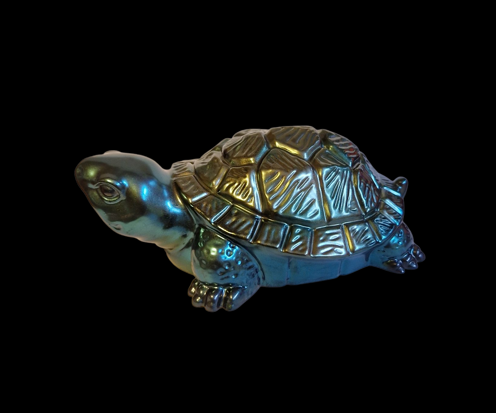 Turtles - Large £20