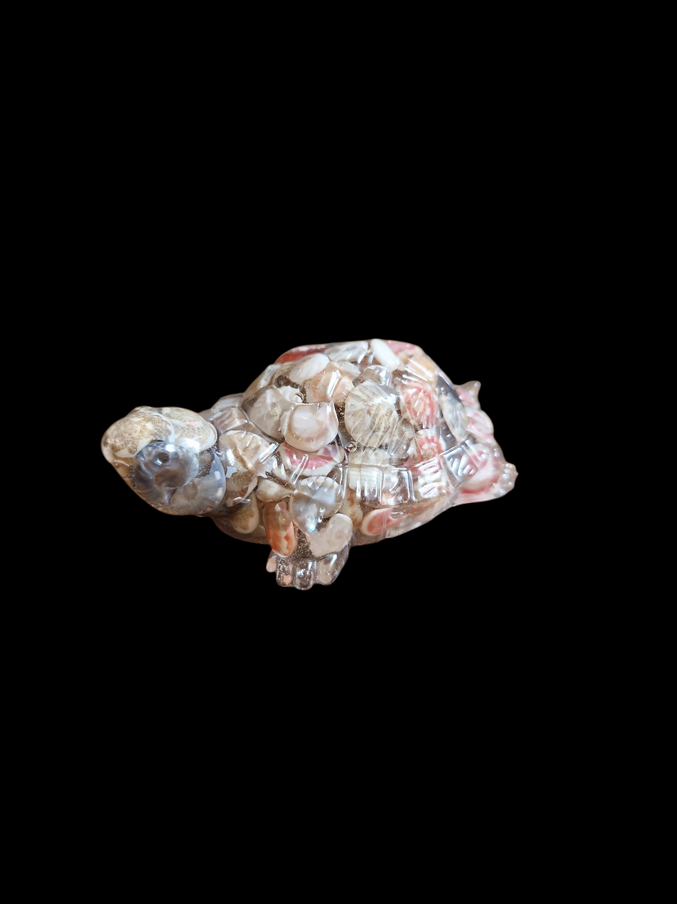 Turtle Small - £4