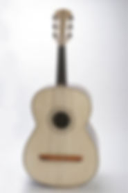 guitarronstandered