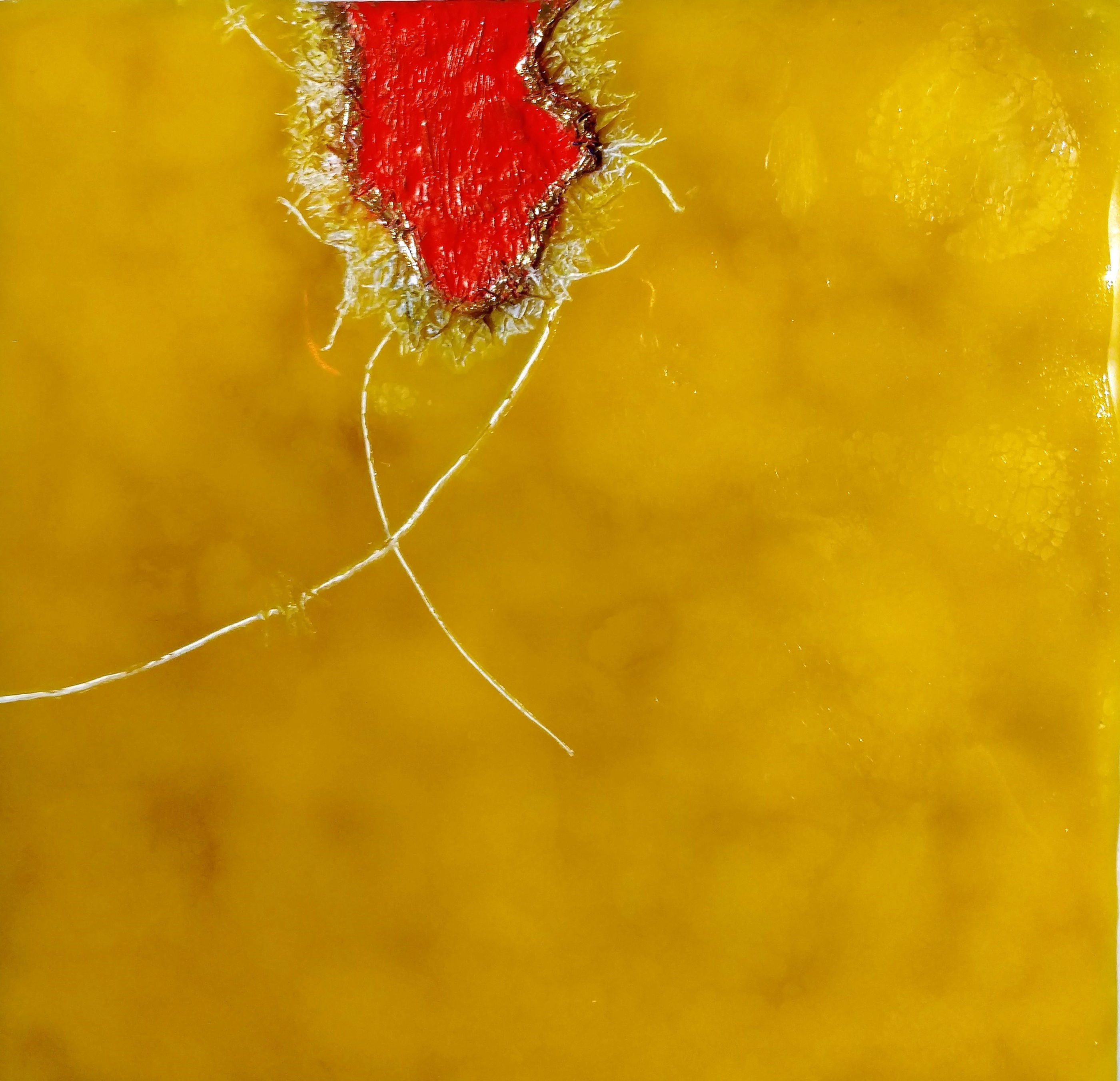 Lipstick Orange in Florida Retirement