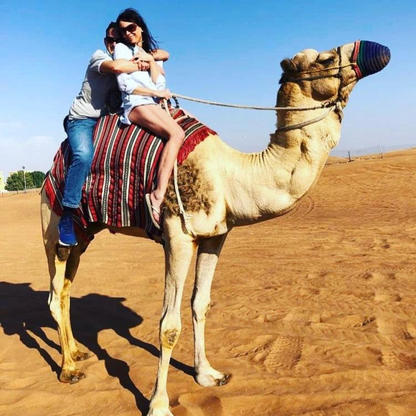 Camel Safari