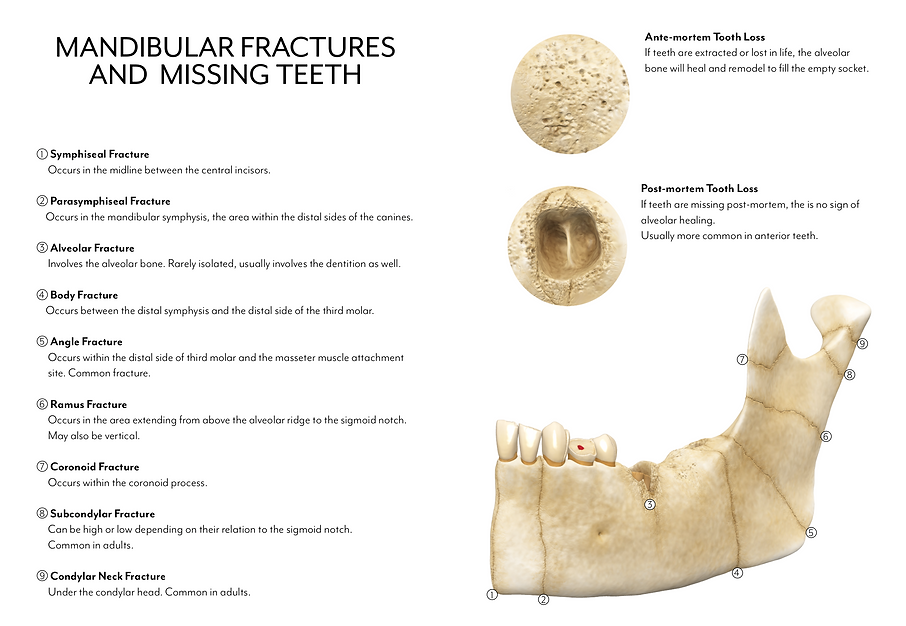 Screen Shot 2020-08-23 at 17.04.50.png