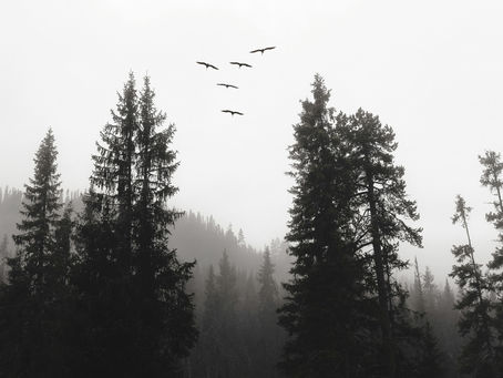 On Waking Gently: Finding Presence in Slow Mornings