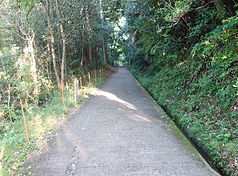 DSC05796_edited.jpg
