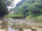 背景
