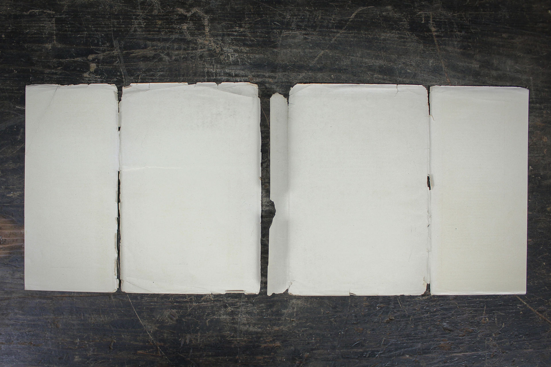 Doctor Dolittle Dust Jacket: Conservation & Stabilization