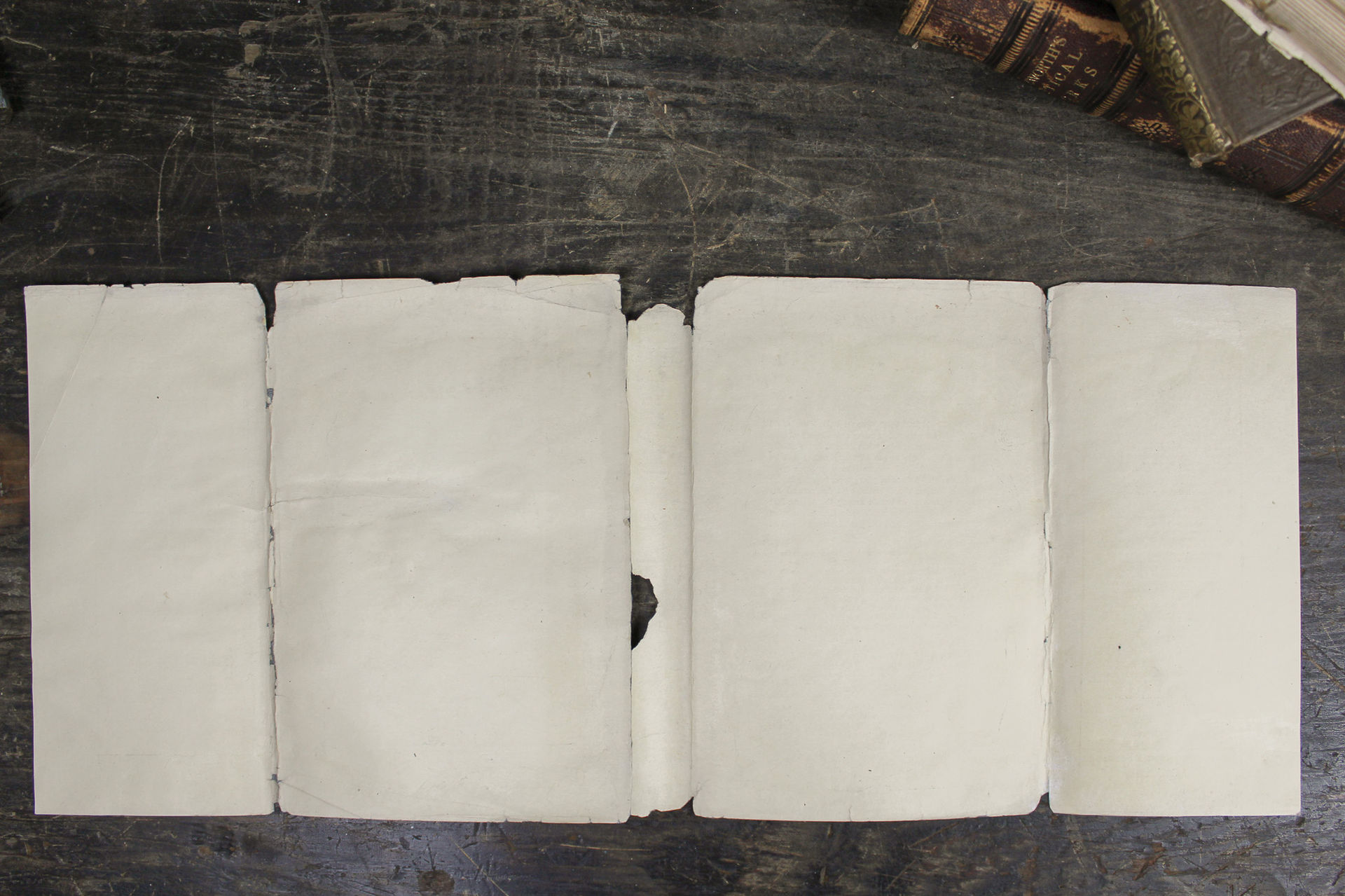 Doctor Dolittle Dust Jacket: Conservation & Stabilization