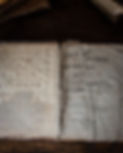 DSC01669.jpg