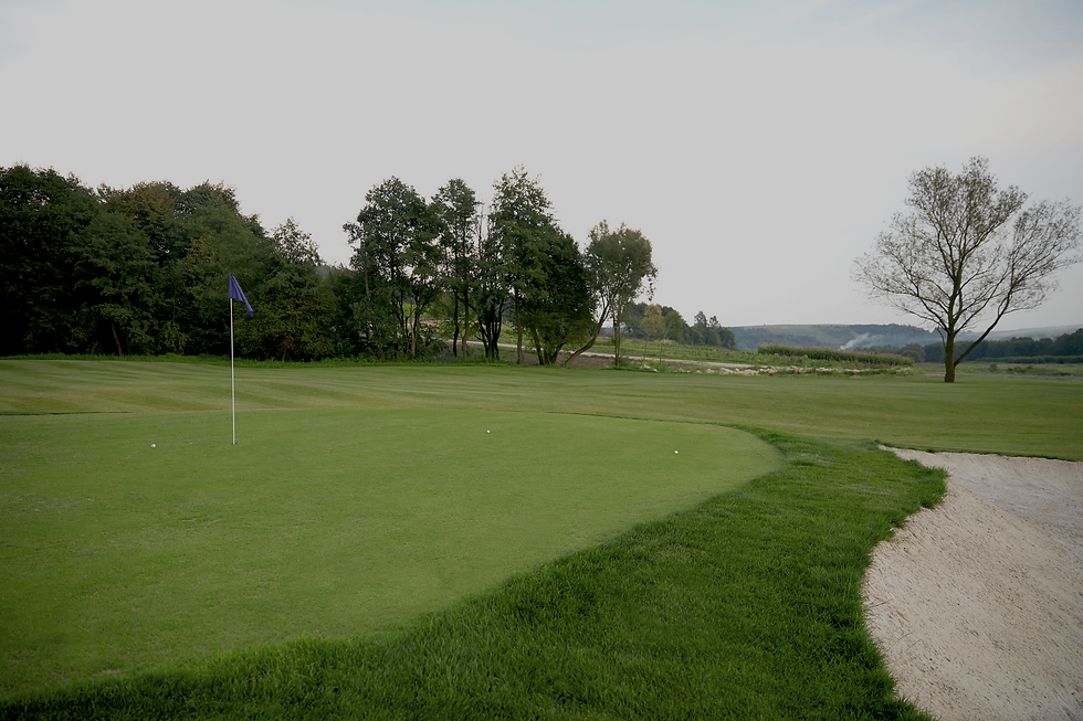Golf Course Scenery