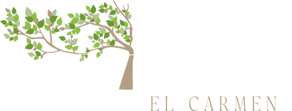 logo png blanco.png