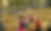 La Rueda kindergruppe.jpg