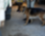 Zoom sur la BBF