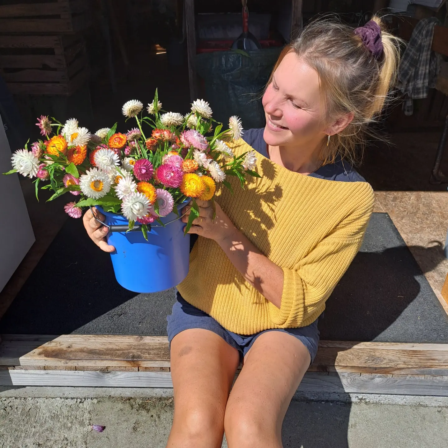 Writer: Iluta  Walls