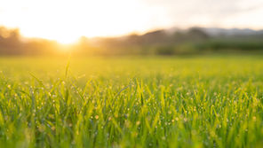 クライアント支援10年の経験を活かして新会社のCEOへ