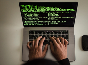 Dominios web y sus renovaciones,Licencias de software o APIs