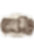 Logo Draft - Mas Gomis.pdf (2).png
