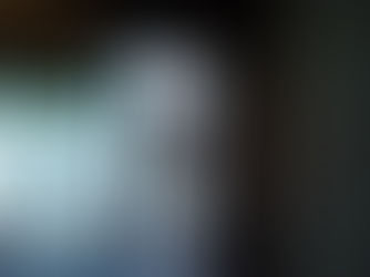 植物とか、電気とか、ネットとか