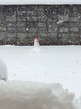 雪、キムチ鍋・・・