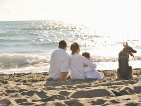 維生素 D 和甲狀腺