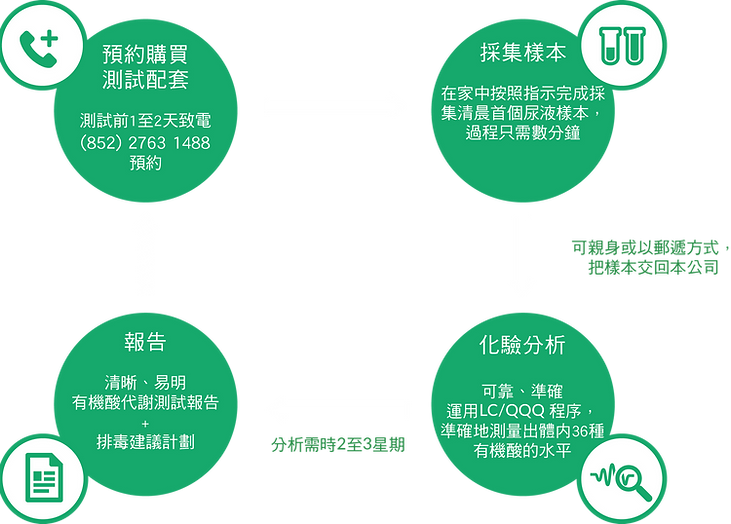 測試流程(新陳代謝).png
