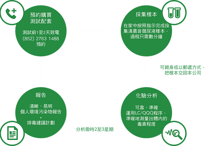 測試流程(環境毒素).png