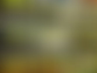 Inhalants and Allergies: A Traditional Chinese Medicine (TCM) Point of View (I)