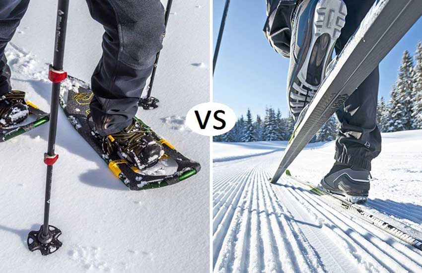 Snowshoes vs Cross Country Skis.jpeg