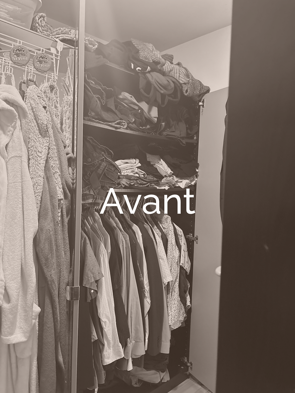 Avant_4.png