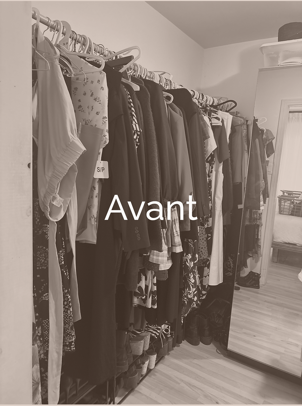 Avant_1.png
