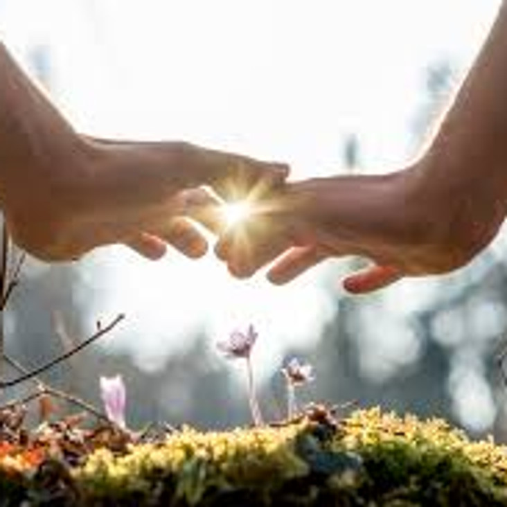 Emotional Hygiene: A Course for Empaths
