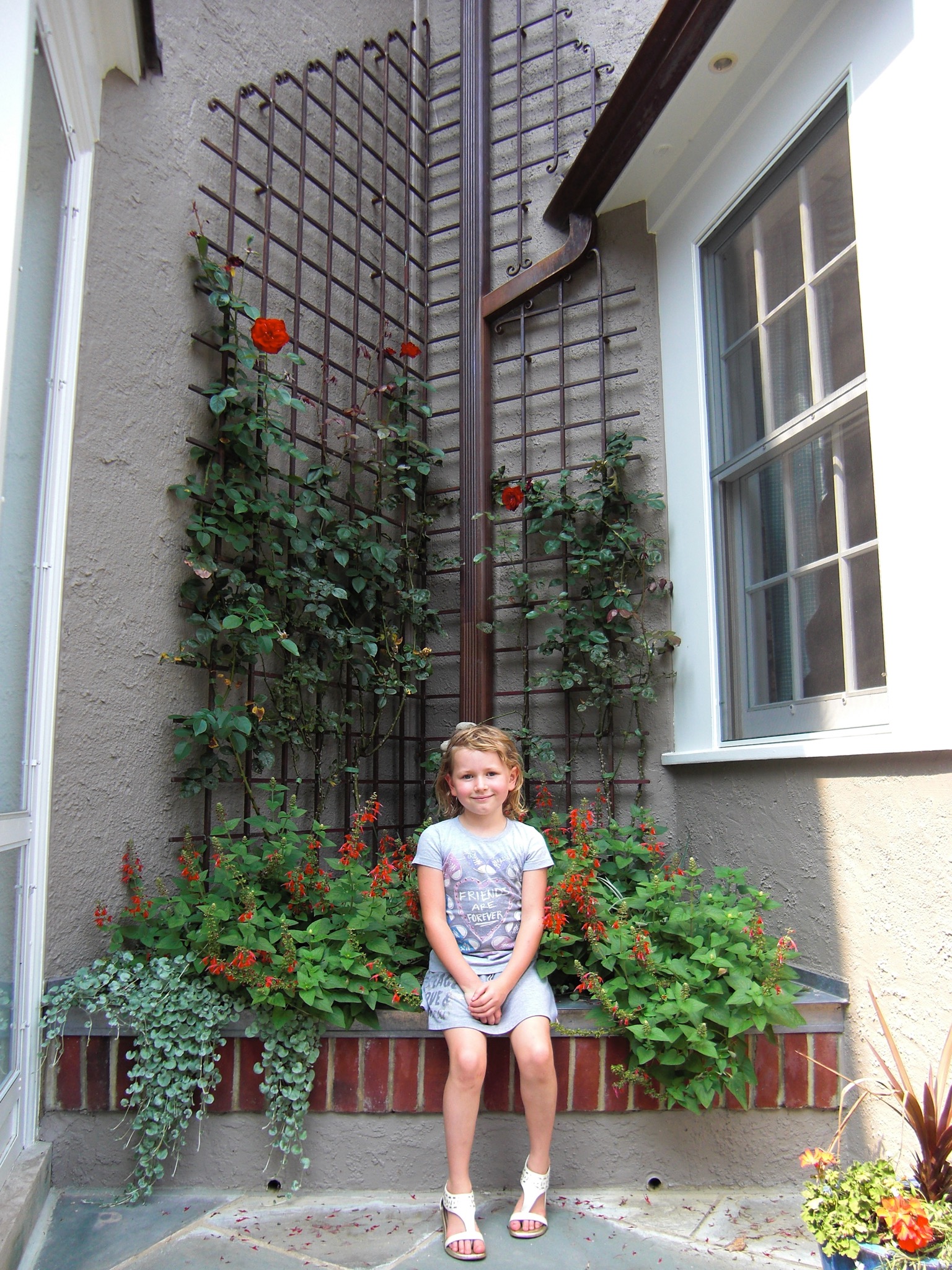 Trellis