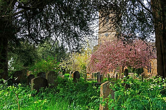 12 AW Nature's churchyard.jpg