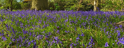 IMG_20260411_120108 - Copy.jpg