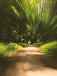 08 Swirly Wirley.JPG