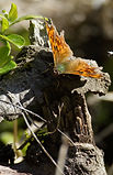 MLakes_045.jpg