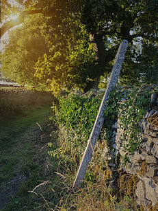 02 Tissington footpath.jpg