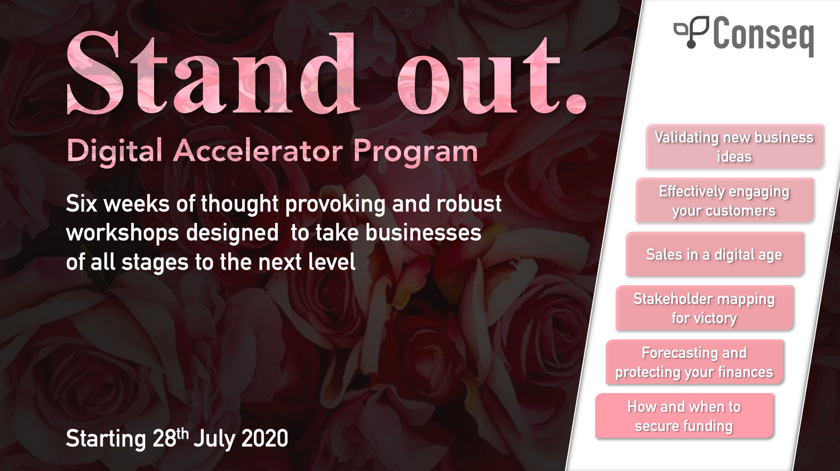 Stand Out Digital Accelerator Program
