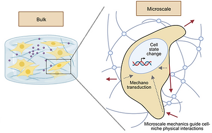 mechano
