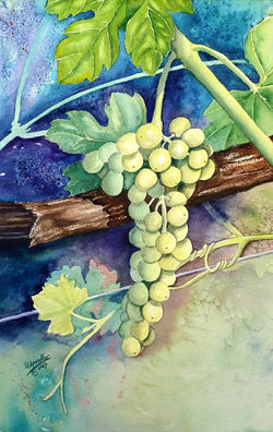 Lynda Chandler. Cabernet Sauvignon Vert