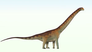NOVA ESPÉCIE DE DINOSSAURO DESCOBERTA NO BRASIL QUE CARREGA O NOME DO TOCANTINS🦕.