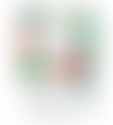 1ª FEIRA DE TROCA DE PLANTAS