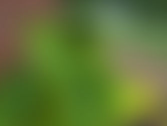 Friday, June 20, 2025