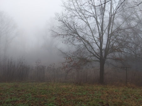 Monday, Jan. 23, 2023